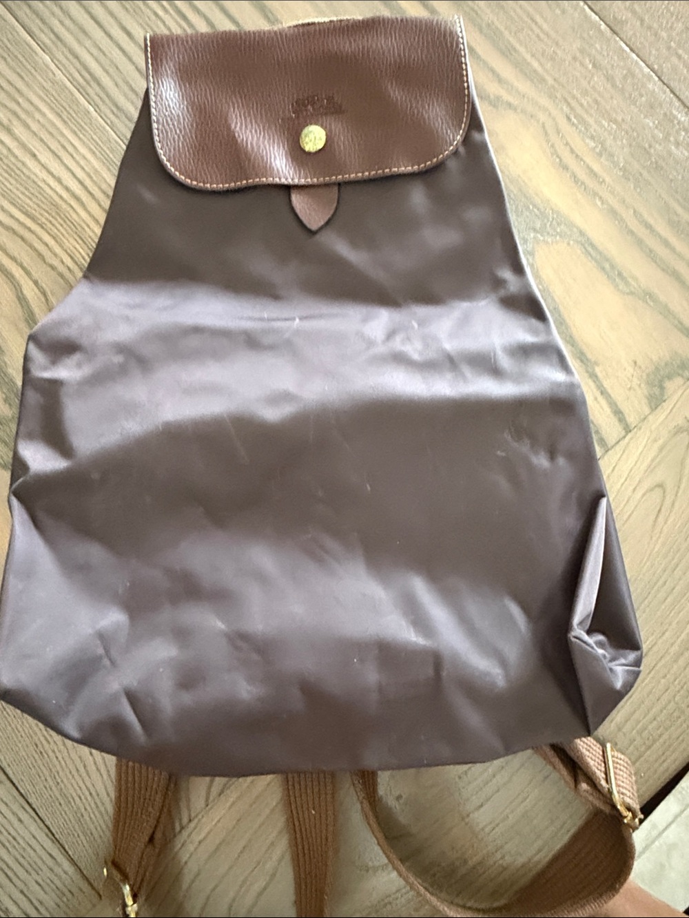 Longchamp Brown Nylon Backpack with Tan Leather Flap